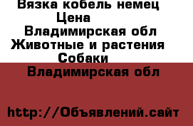 Вязка кобель немец › Цена ­ 100 - Владимирская обл. Животные и растения » Собаки   . Владимирская обл.